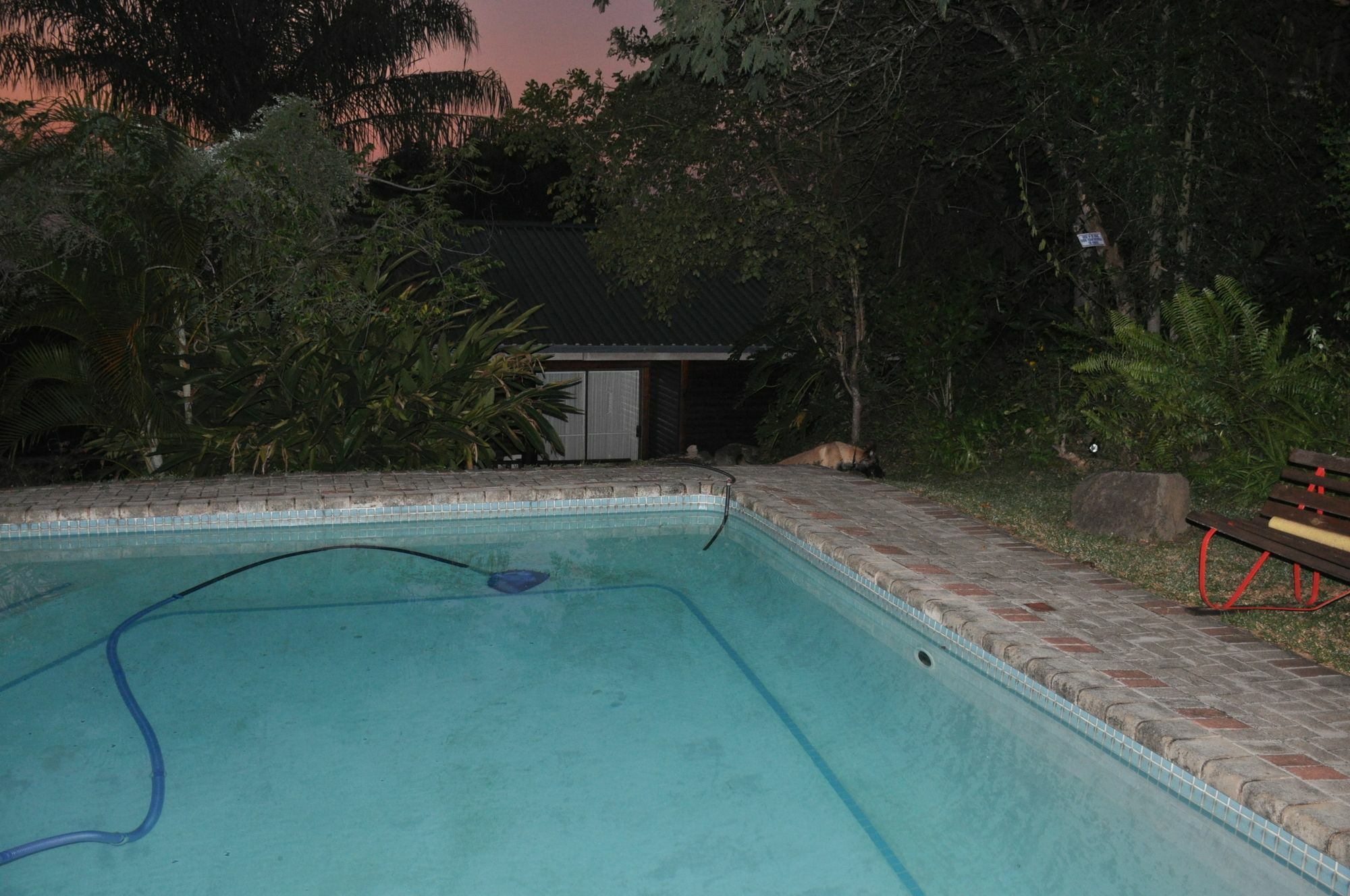 Viewpoint Lodge & Safari Tours Hazyview Esterno foto