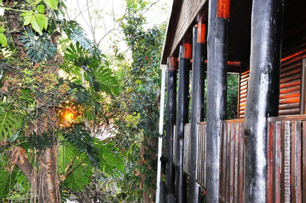 Viewpoint Lodge & Safari Tours Hazyview Esterno foto