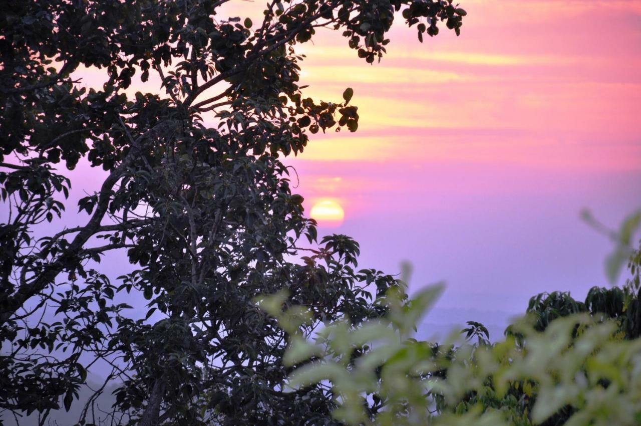 Viewpoint Lodge & Safari Tours Hazyview Esterno foto